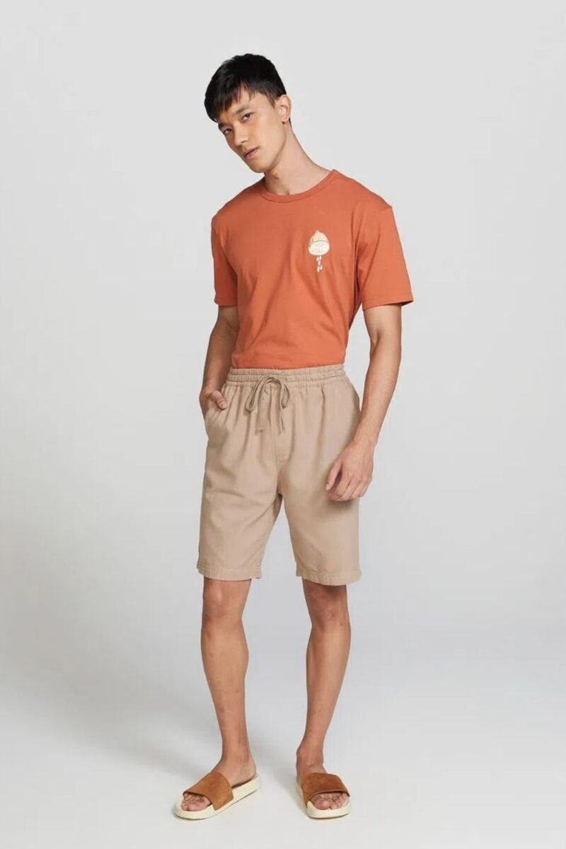 etiqueta-casual-comprar-moda-masculina-online-comprar-roupas-masculinas-na-internet-bermuda-masculina-reta-com-cordao-hering-H4EH (2)