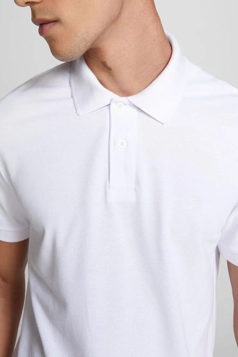 etiqueta-casual-comprar-moda-masculina-online-comprar-roupas-masculinas-na-internet-camisa-masculina-polo-piquet-regular-hering-N3A7 (1)