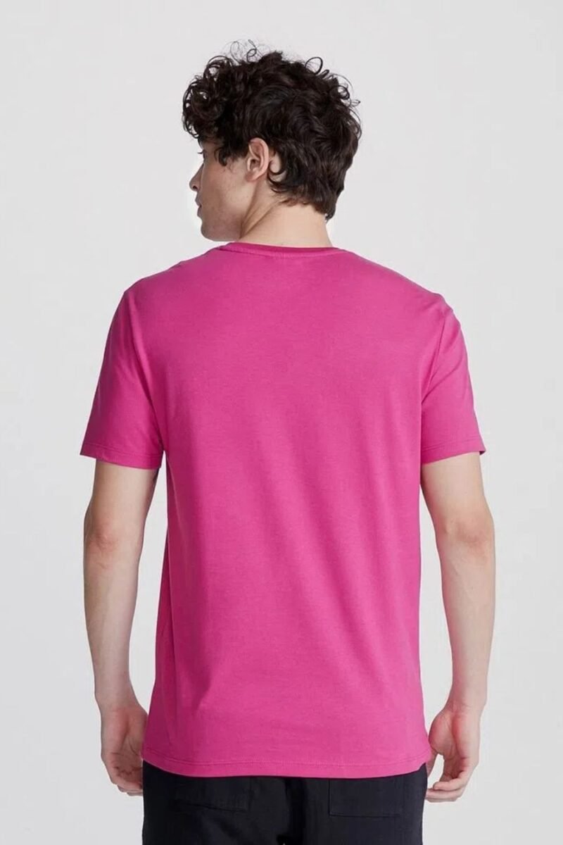 etiqueta-casual-comprar-moda-masculina-online-comprar-roupas-masculinas-na-internet-camiseta-basica-masculina-manga-curta-gola V-hering-022B (1)