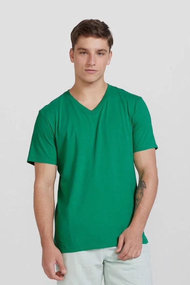 etiqueta-casual-comprar-moda-masculina-online-comprar-roupas-masculinas-na-internet-camiseta-basica-masculina-manga-curta-gola V-hering-022B (12)