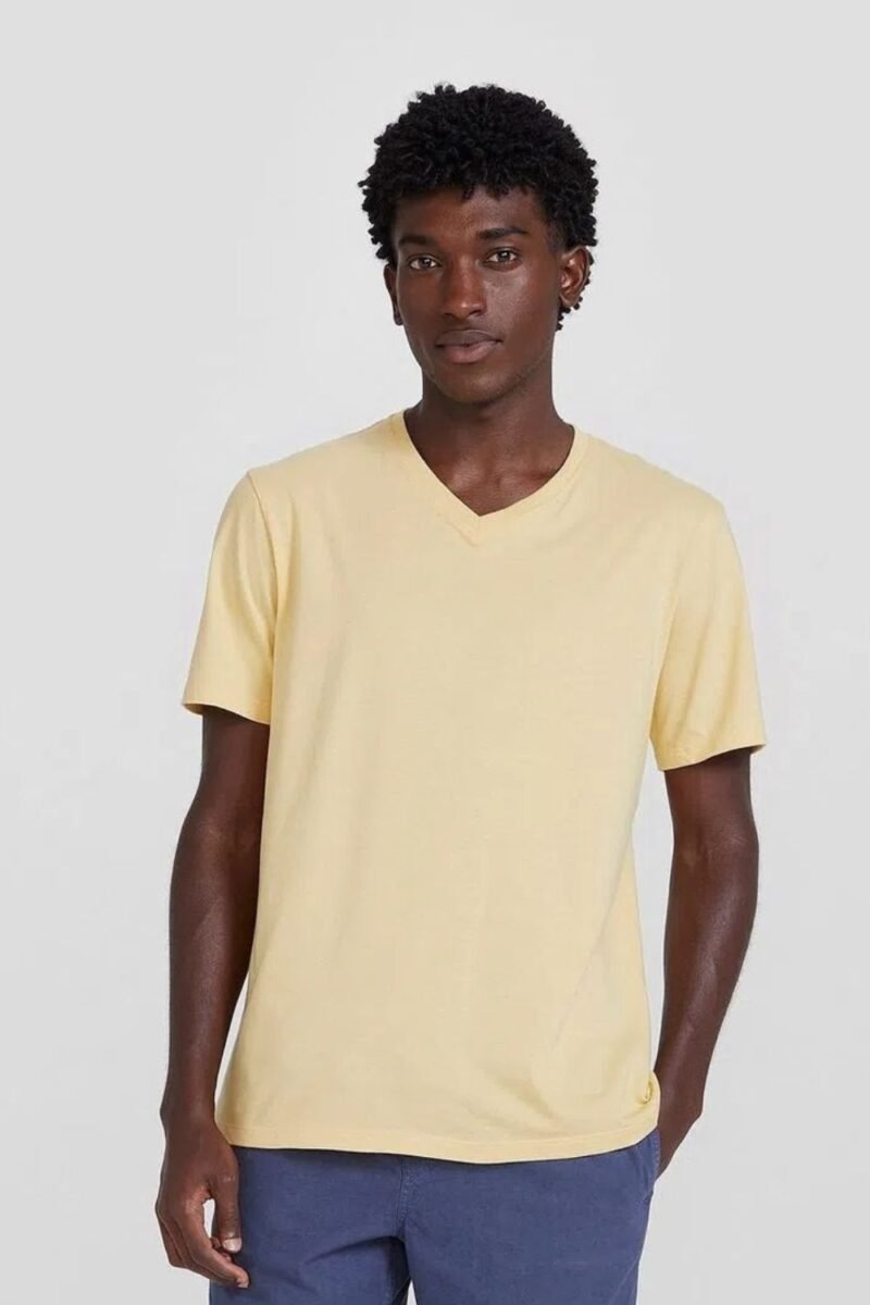 etiqueta-casual-comprar-moda-masculina-online-comprar-roupas-masculinas-na-internet-camiseta-basica-masculina-manga-curta-gola V-hering-022B (16)