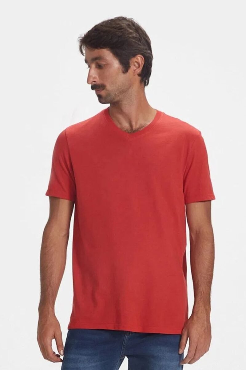 etiqueta-casual-comprar-moda-masculina-online-comprar-roupas-masculinas-na-internet-camiseta-basica-masculina-manga-curta-gola V-hering-022B (18)