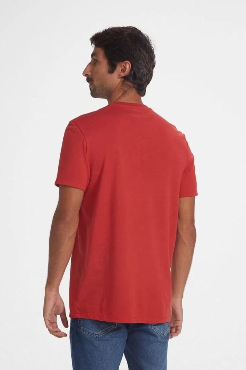 etiqueta-casual-comprar-moda-masculina-online-comprar-roupas-masculinas-na-internet-camiseta-basica-masculina-manga-curta-gola V-hering-022B (19)