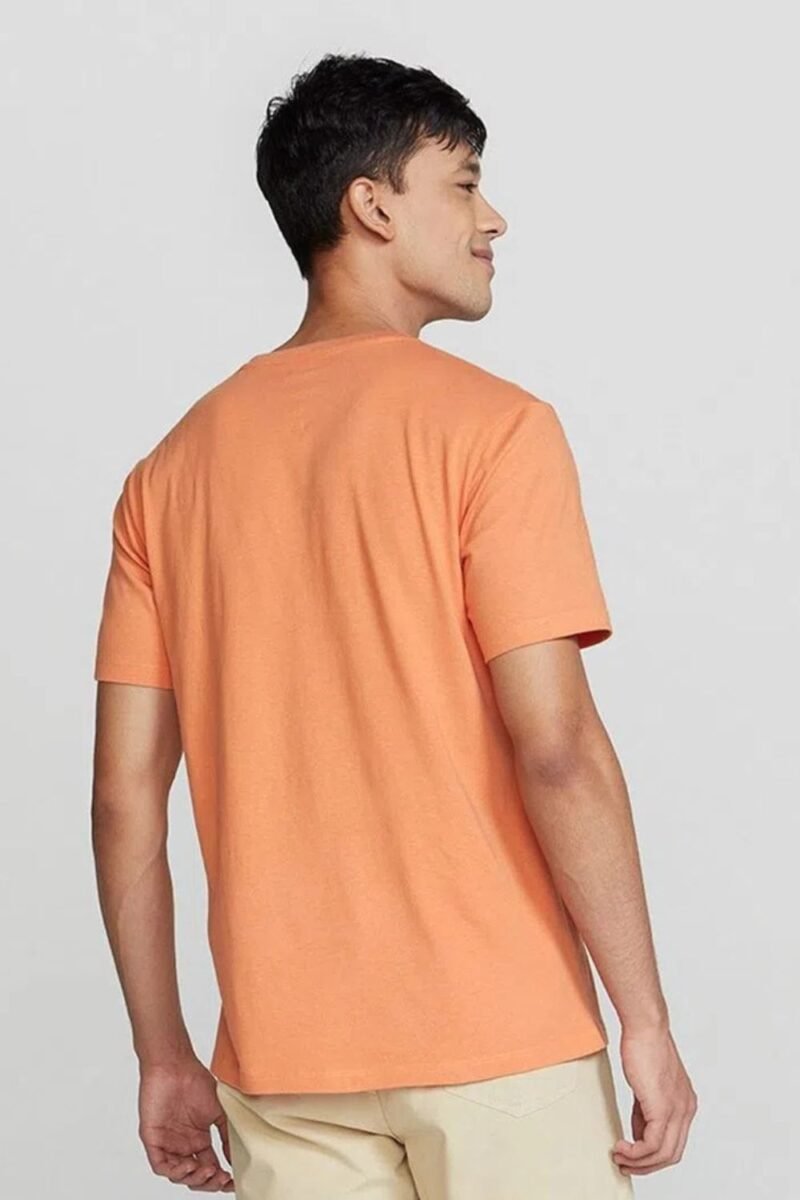 etiqueta-casual-comprar-moda-masculina-online-comprar-roupas-masculinas-na-internet-camiseta-basica-masculina-manga-curta-gola V-hering-022B (3)