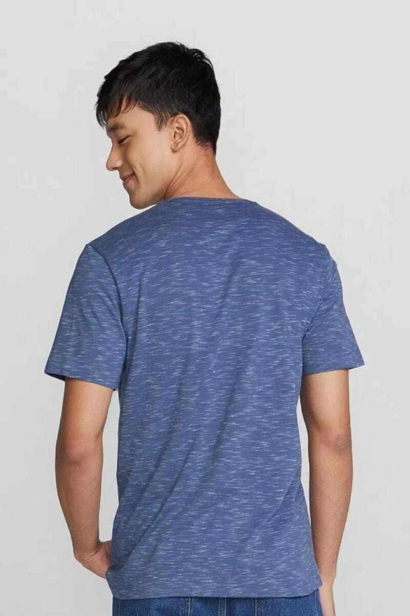 etiqueta-casual-comprar-moda-masculina-online-comprar-roupas-masculinas-na-internet-camiseta-basica-masculina-regular-flame-hering-4F54 (1)