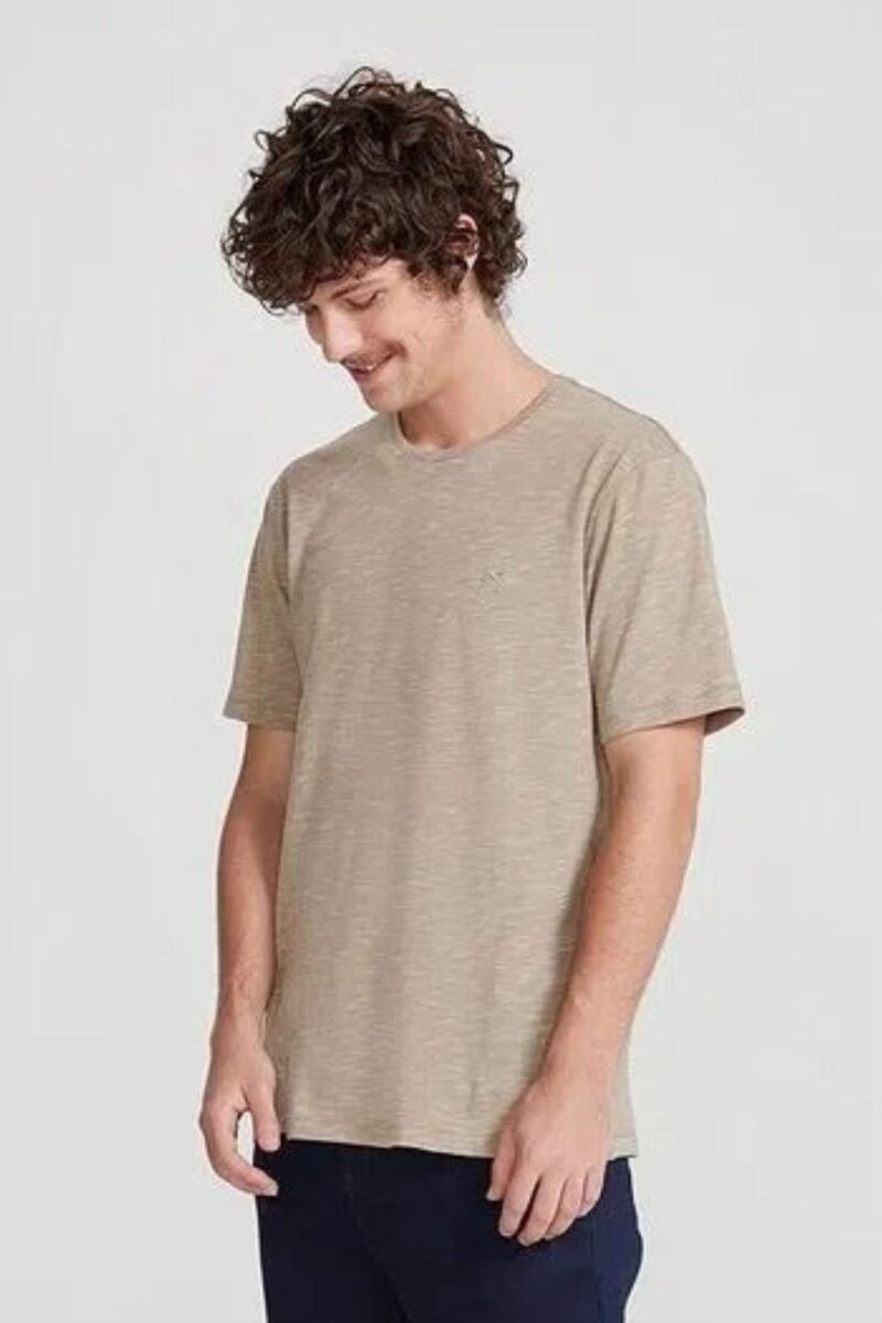 etiqueta-casual-comprar-moda-masculina-online-comprar-roupas-masculinas-na-internet-camiseta-basica-masculina-regular-flame-hering-4F54 (11)