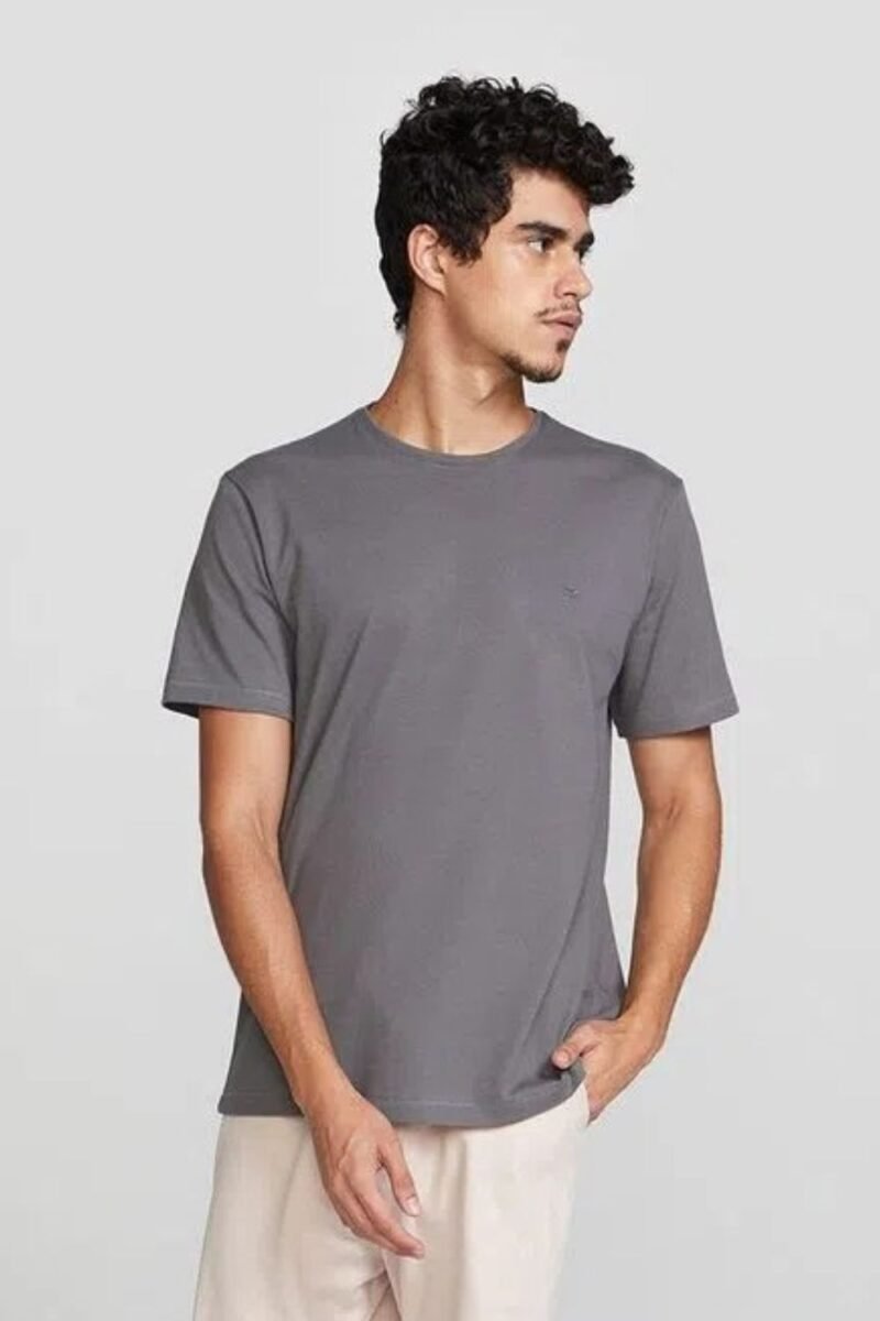 etiqueta-casual-comprar-moda-masculina-online-comprar-roupas-masculinas-na-internet-camiseta-basica-masculina-regular-flame-hering-4F54 (2)