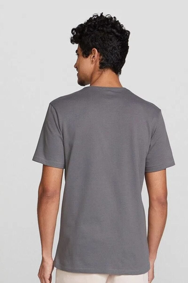 etiqueta-casual-comprar-moda-masculina-online-comprar-roupas-masculinas-na-internet-camiseta-basica-masculina-regular-flame-hering-4F54 (3)