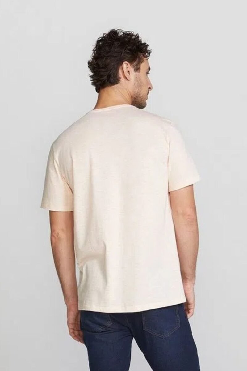 etiqueta-casual-comprar-moda-masculina-online-comprar-roupas-masculinas-na-internet-camiseta-basica-masculina-regular-flame-hering-4F54 (5)