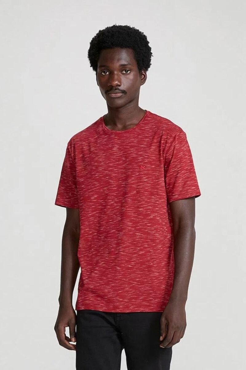 etiqueta-casual-comprar-moda-masculina-online-comprar-roupas-masculinas-na-internet-camiseta-basica-masculina-regular-flame-hering-4F54 (8)