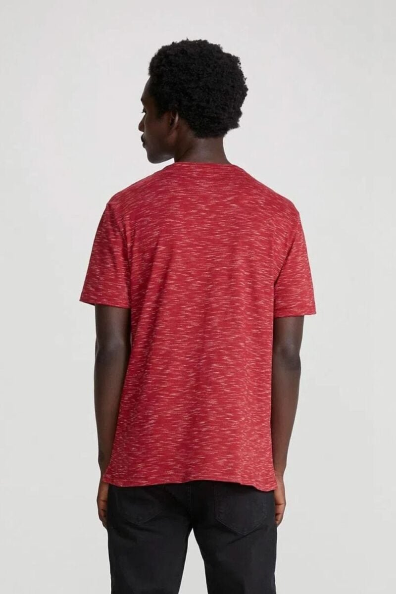 etiqueta-casual-comprar-moda-masculina-online-comprar-roupas-masculinas-na-internet-camiseta-basica-masculina-regular-flame-hering-4F54 (9)