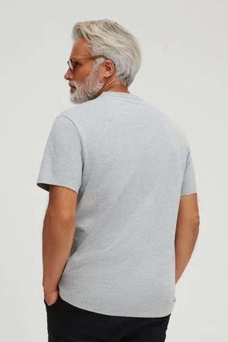 etiqueta-casual-comprar-moda-masculina-online-comprar-roupas-masculinas-na-internet-camiseta-basica-masculina-super-cotton-hering-0227 (11)