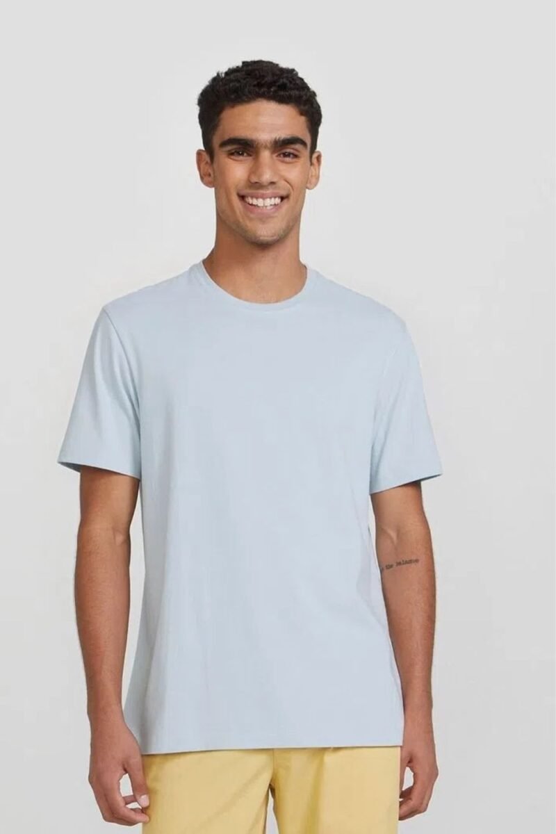 etiqueta-casual-comprar-moda-masculina-online-comprar-roupas-masculinas-na-internet-camiseta-basica-masculina-super-cotton-hering-0227 (14)