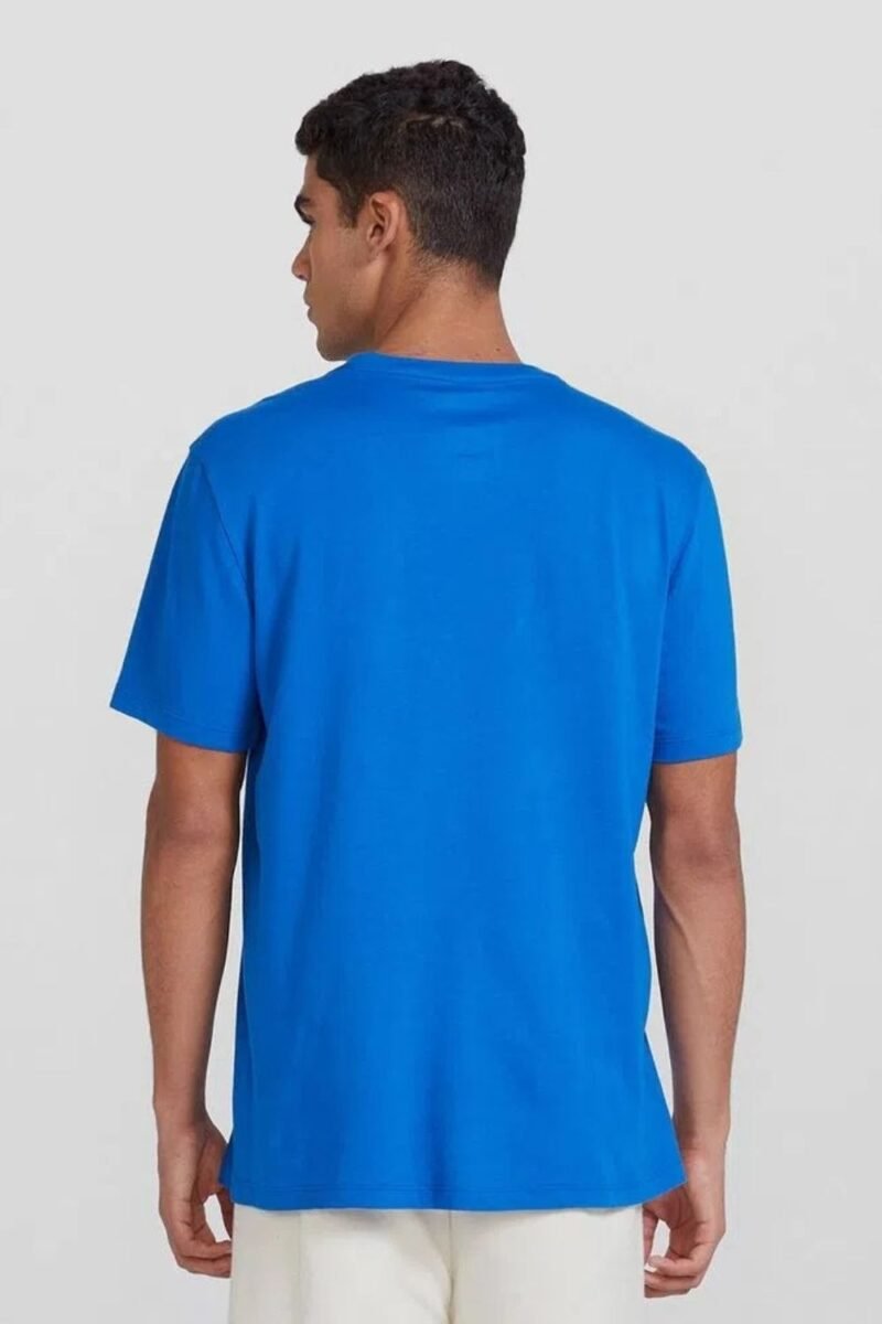 etiqueta-casual-comprar-moda-masculina-online-comprar-roupas-masculinas-na-internet-camiseta-basica-unissex-manga-curta-hering-0201 (1)