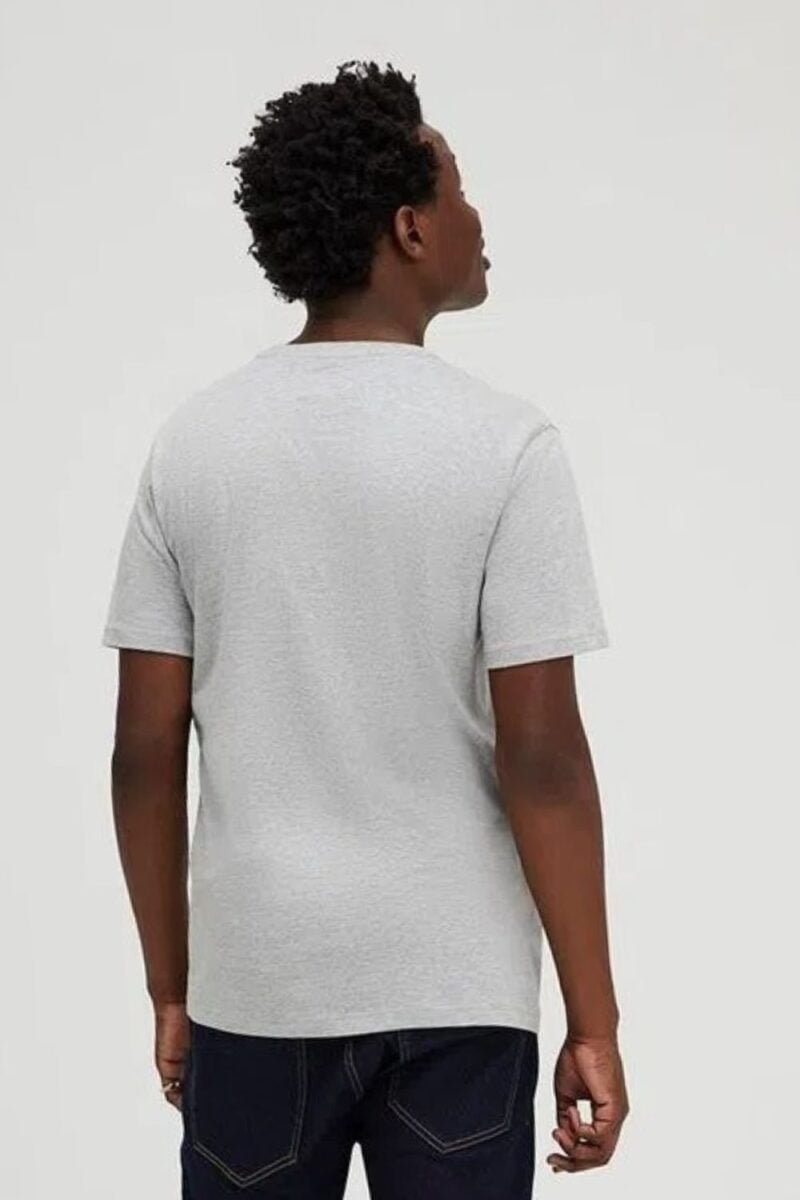 etiqueta-casual-comprar-moda-masculina-online-comprar-roupas-masculinas-na-internet-camiseta-basica-unissex-manga-curta-hering-0201 (15)