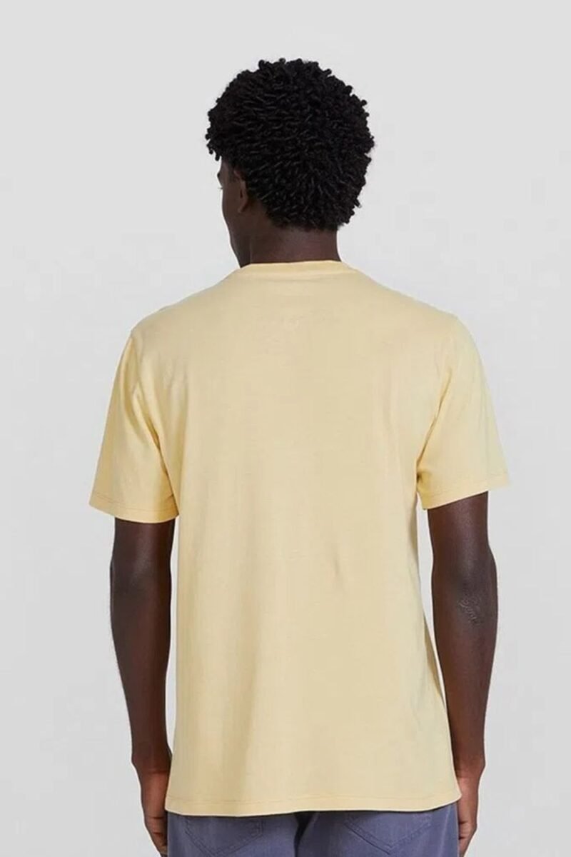 etiqueta-casual-comprar-moda-masculina-online-comprar-roupas-masculinas-na-internet-camiseta-basica-unissex-manga-curta-hering-0201 (26)