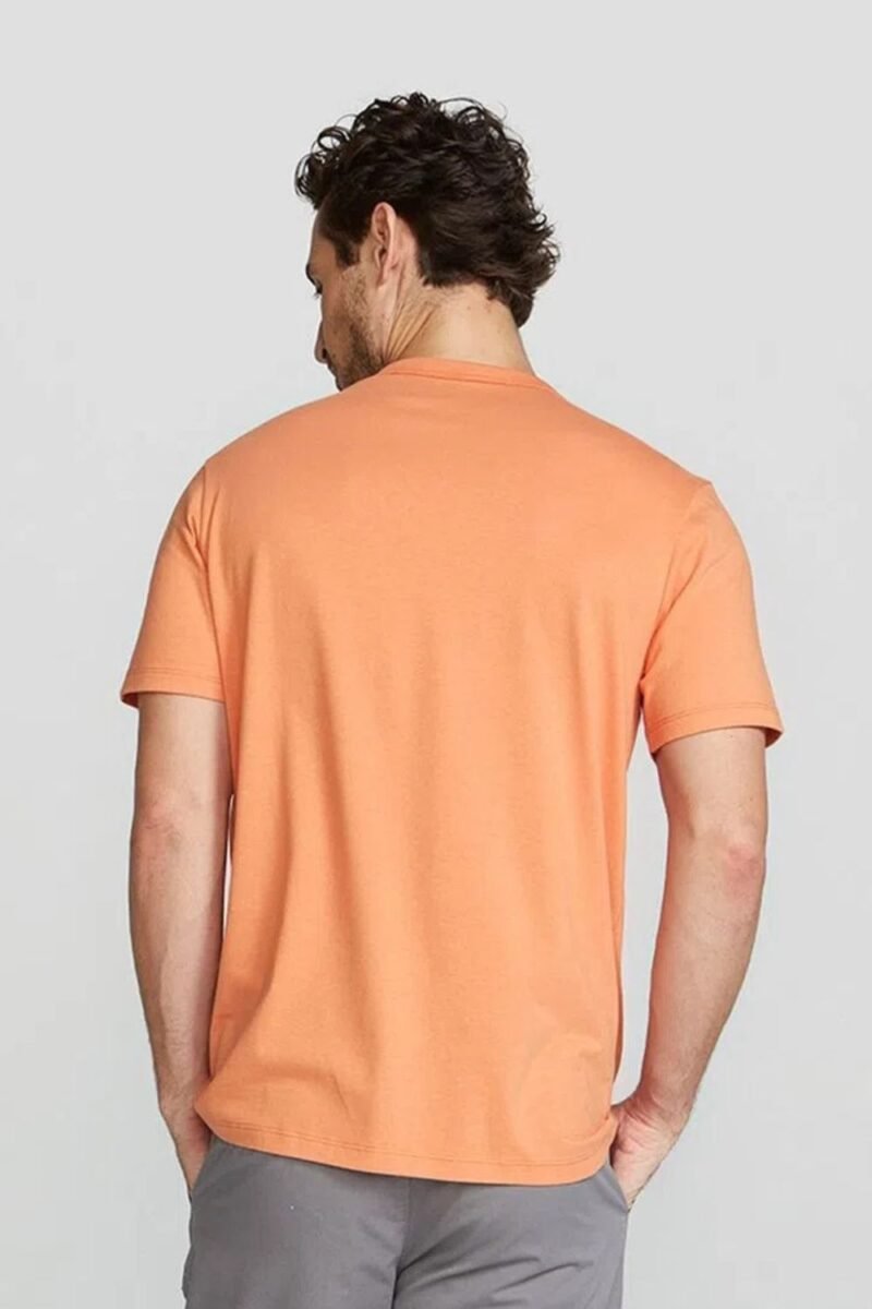 etiqueta-casual-comprar-moda-masculina-online-comprar-roupas-masculinas-na-internet-camiseta-masculina-estampada-manga-curta-hering-4F87 (17)