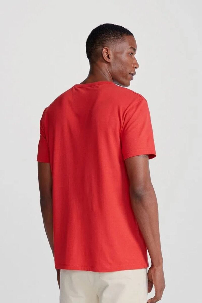 etiqueta-casual-comprar-moda-masculina-online-comprar-roupas-masculinas-na-internet-camiseta-masculina-estampada-manga-curta-hering-4F87 (23)