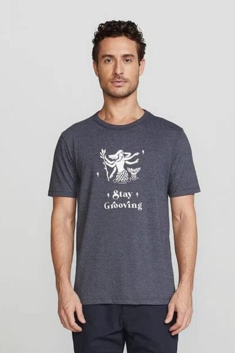 etiqueta-casual-comprar-moda-masculina-online-comprar-roupas-masculinas-na-internet-camiseta-masculina-estampada-manga-curta-hering-4F87 (26)