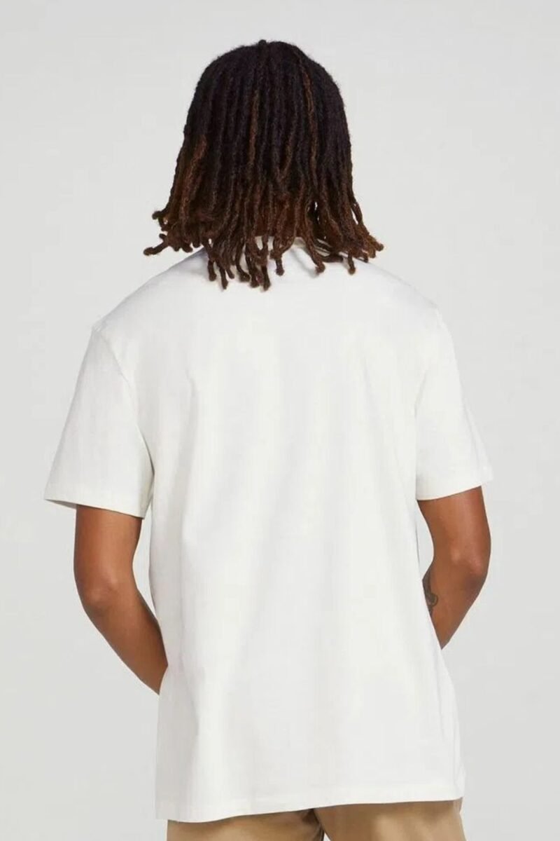 etiqueta-casual-comprar-moda-masculina-online-comprar-roupas-masculinas-na-internet-camiseta-masculina-estampada-manga-curta-hering-4F87 (7)