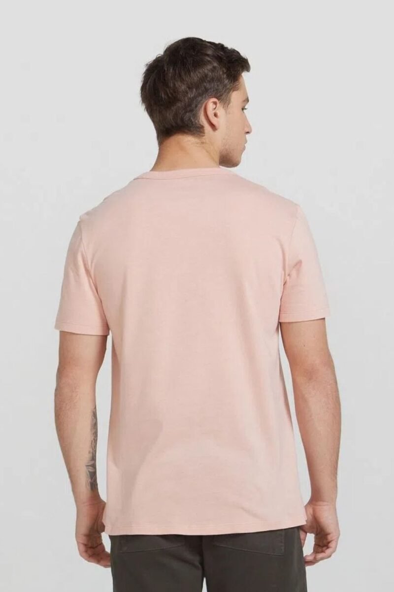 etiqueta-casual-comprar-moda-masculina-online-comprar-roupas-masculinas-na-internet-camiseta-masculina-estampada-manga-curta-hering-4F87 (9)