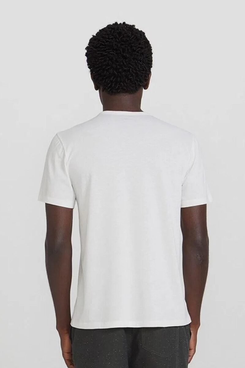 etiqueta-modas-comprar-moda-masculina-online-comprar-roupas-masculinas-na-internet-camiseta-masculina-slim-estampada-hering-4F43 (8)